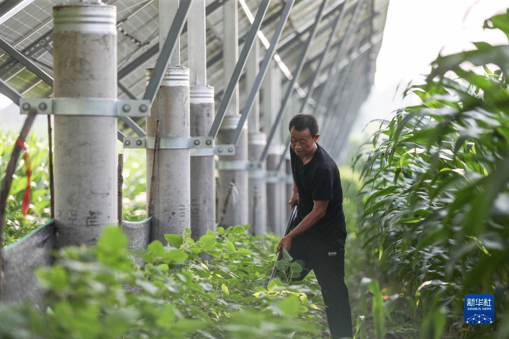 捕鱼游戏大厅